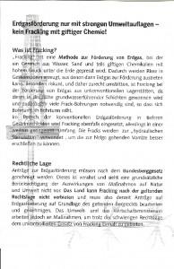 Grünen-Flugblatt - Vorderseite Hannover, 22.03.2014