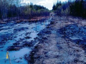 Im Frühsommer 2013 brach eine Pipeline mit Abwasser aus der Teersandproduktion nahe Zama City, Kanada, und kontaminierte die Umwelt großflächig.